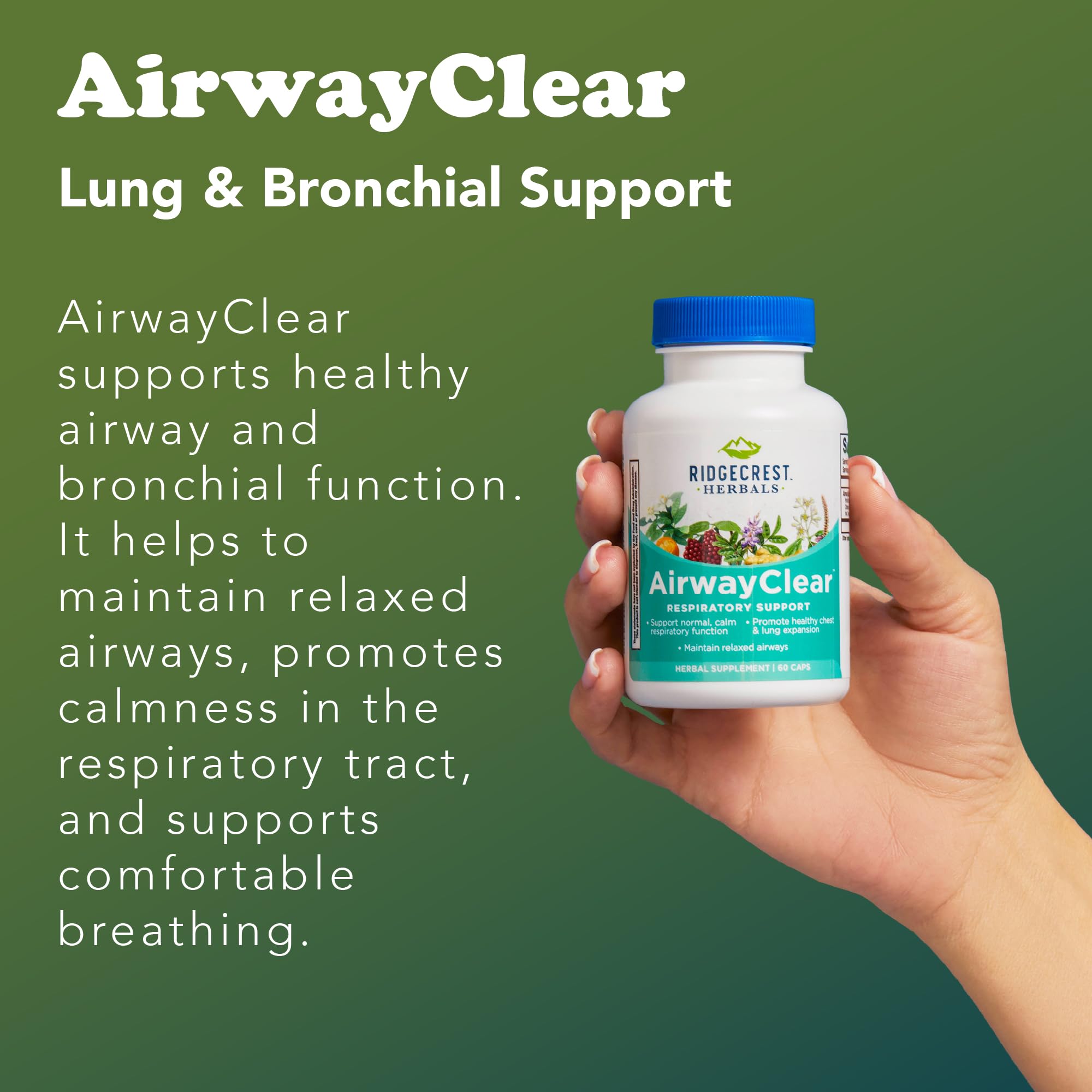 Ginger root ingredient in AirwayClear