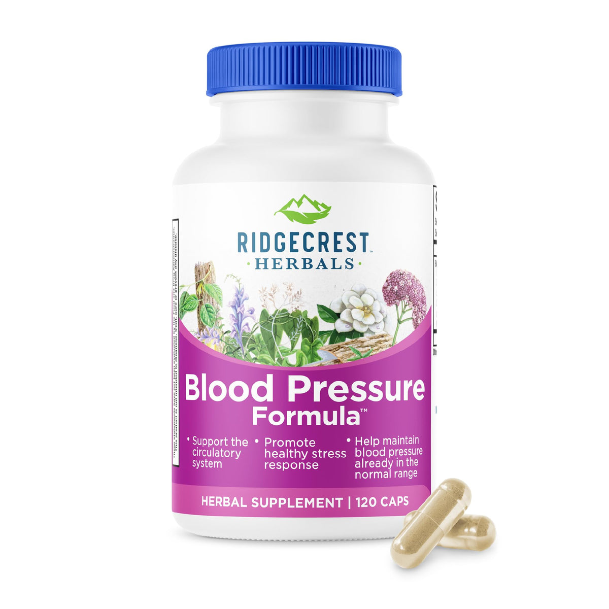 RidgeCrest Herbals Blood Pressure Formula bottle with 12 herbs