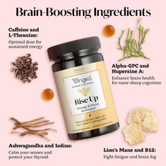 Back packaging with nutrition and benefits information for Rise Up Gummies