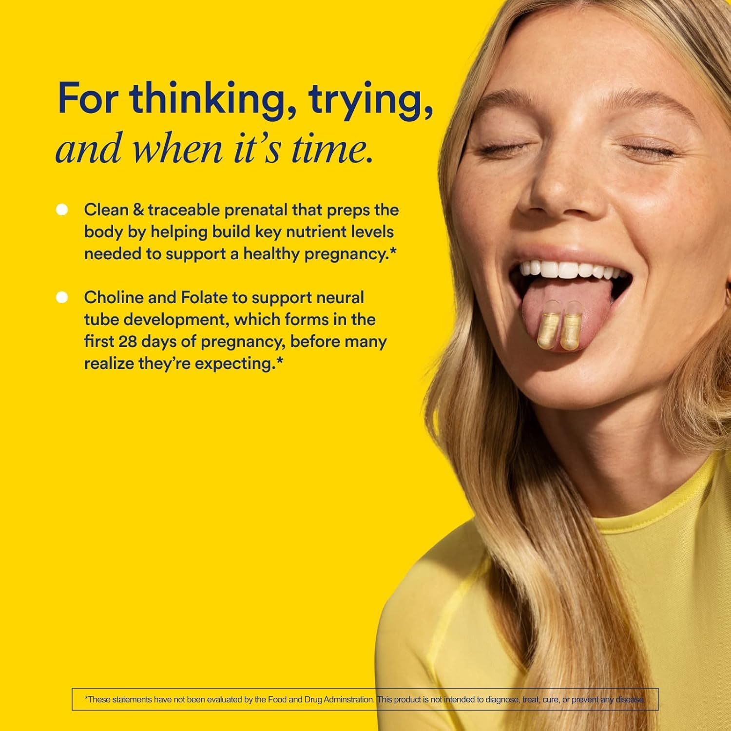 Cross-section of the nested capsule technology