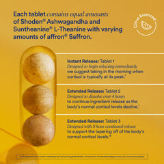 Ritual transparency highlight: globally sourced ingredients from India, Korea, and Spain