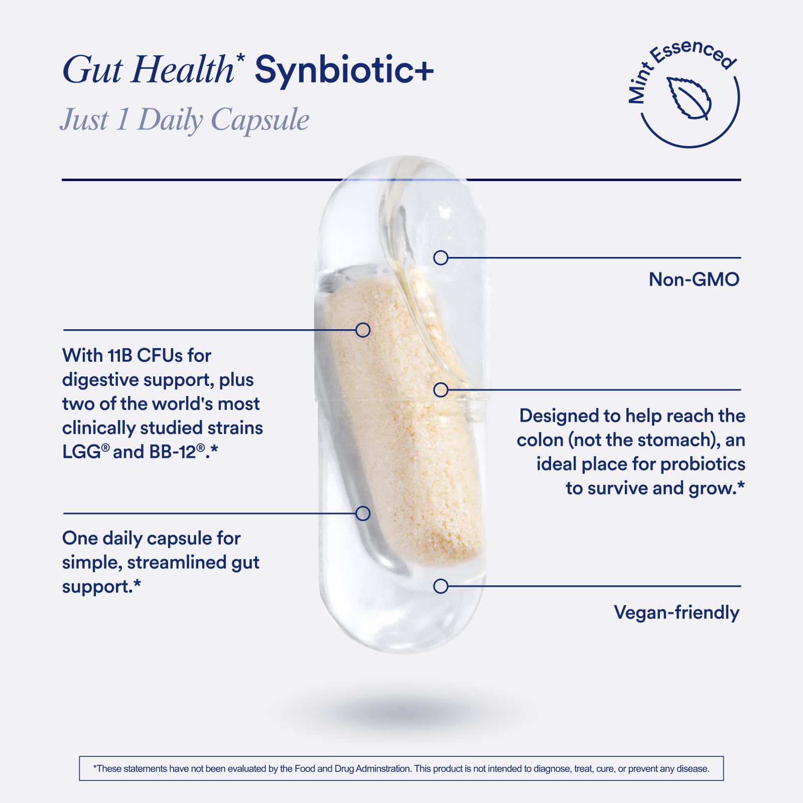 Digestive support, immunity and regularity illustration