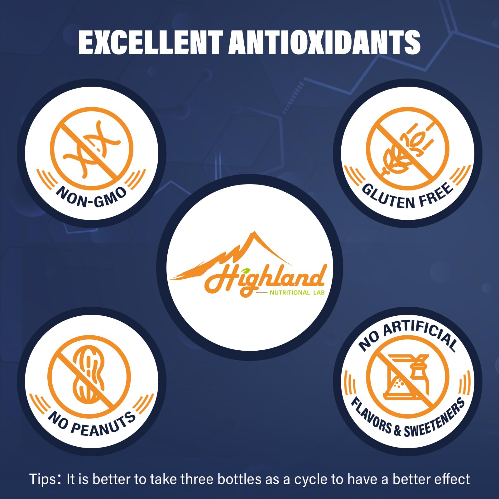 Ingredients panel for Highland R-Lipoic Acid Sodium 300mg
