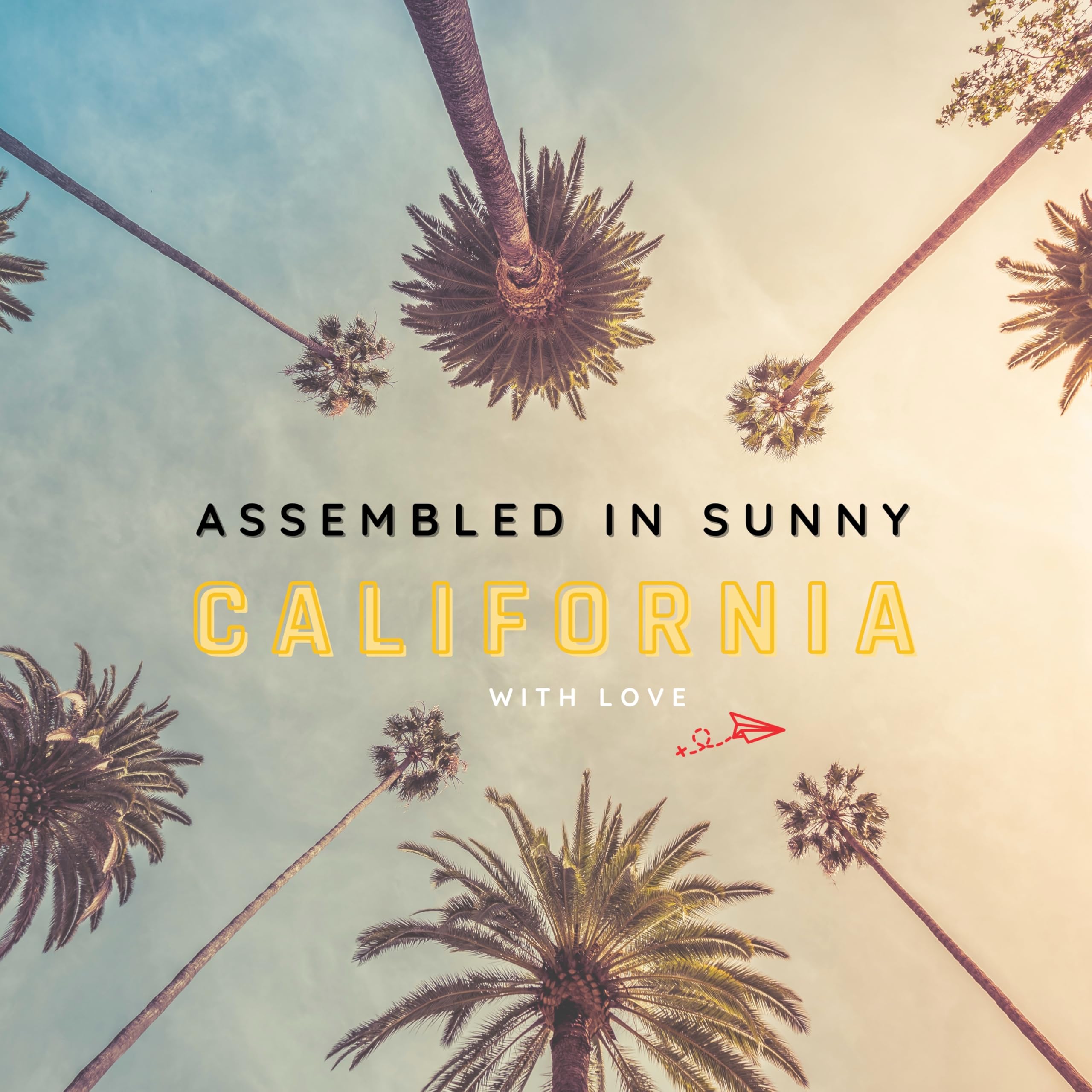 Roamwell travel kit in use during a city trip illustrating on-the-go portability