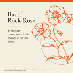 Illustration of Rock Rose for emotional balance and courage