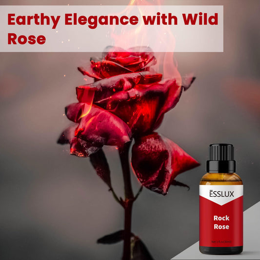 Close-up of Rock Rose fragrance oil droplets