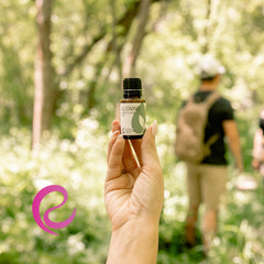 Rocky Mountain Oils Aligning aromatherapy diffuser—diffuse for tranquil home environments