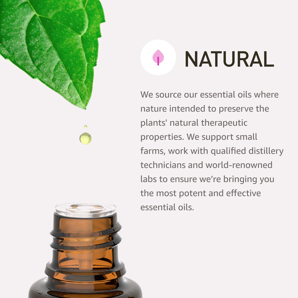 Rocky Mountain Oils Aligning packaging box—compact kit for on-the-go calm