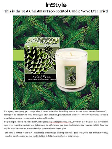 Roland Pine 9.5 oz candle product shot on white background