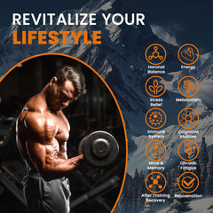 Close-up of Shilajit gummies showing texture and color