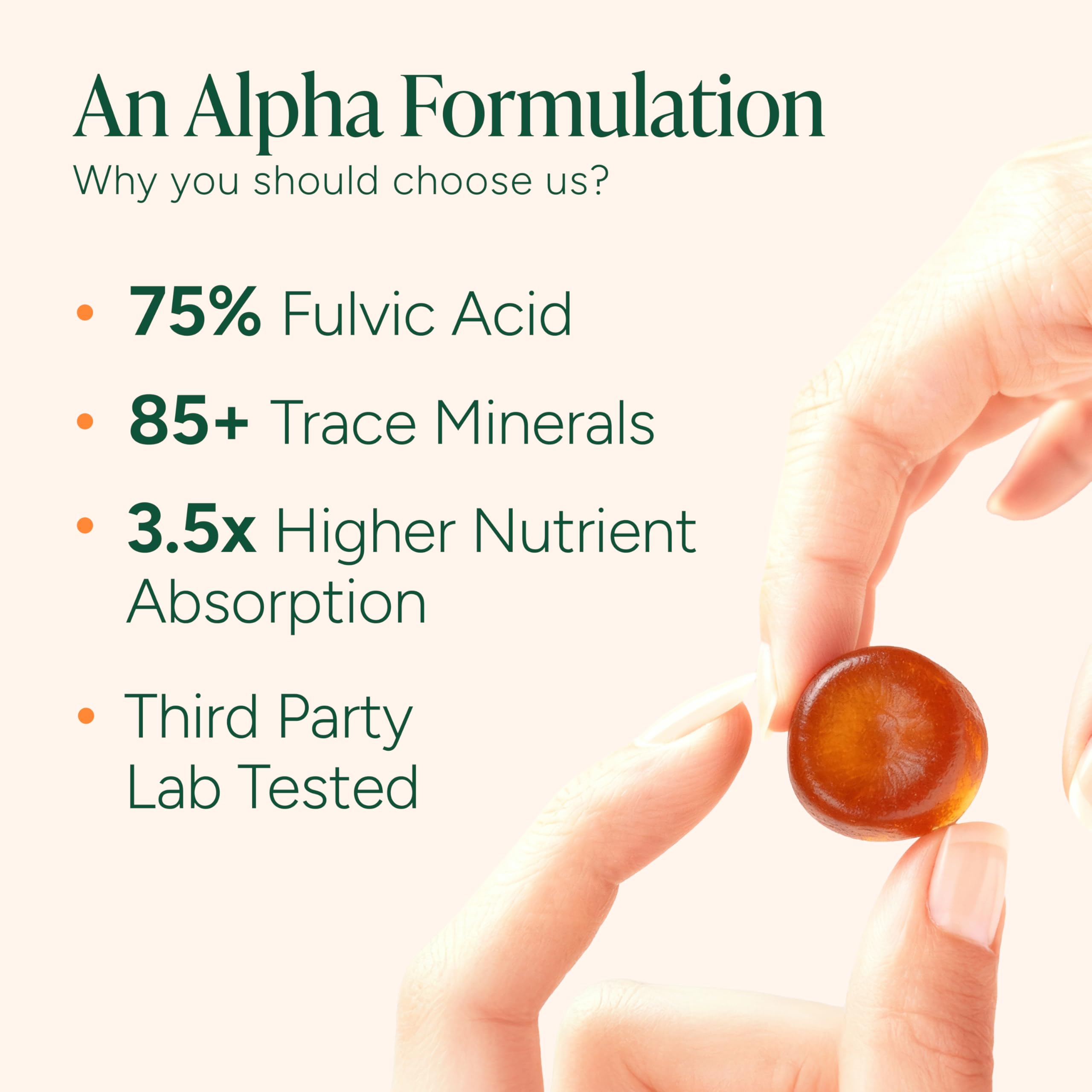 Supplement facts showing 4000 mg Shilajit per serving