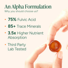 Supplement facts showing 4000 mg Shilajit per serving