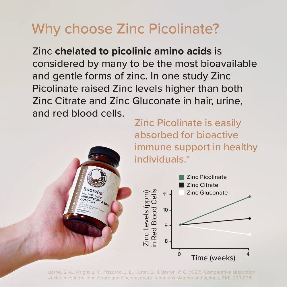 Chelated zinc picolinate and magnesium icons illustrating absorption