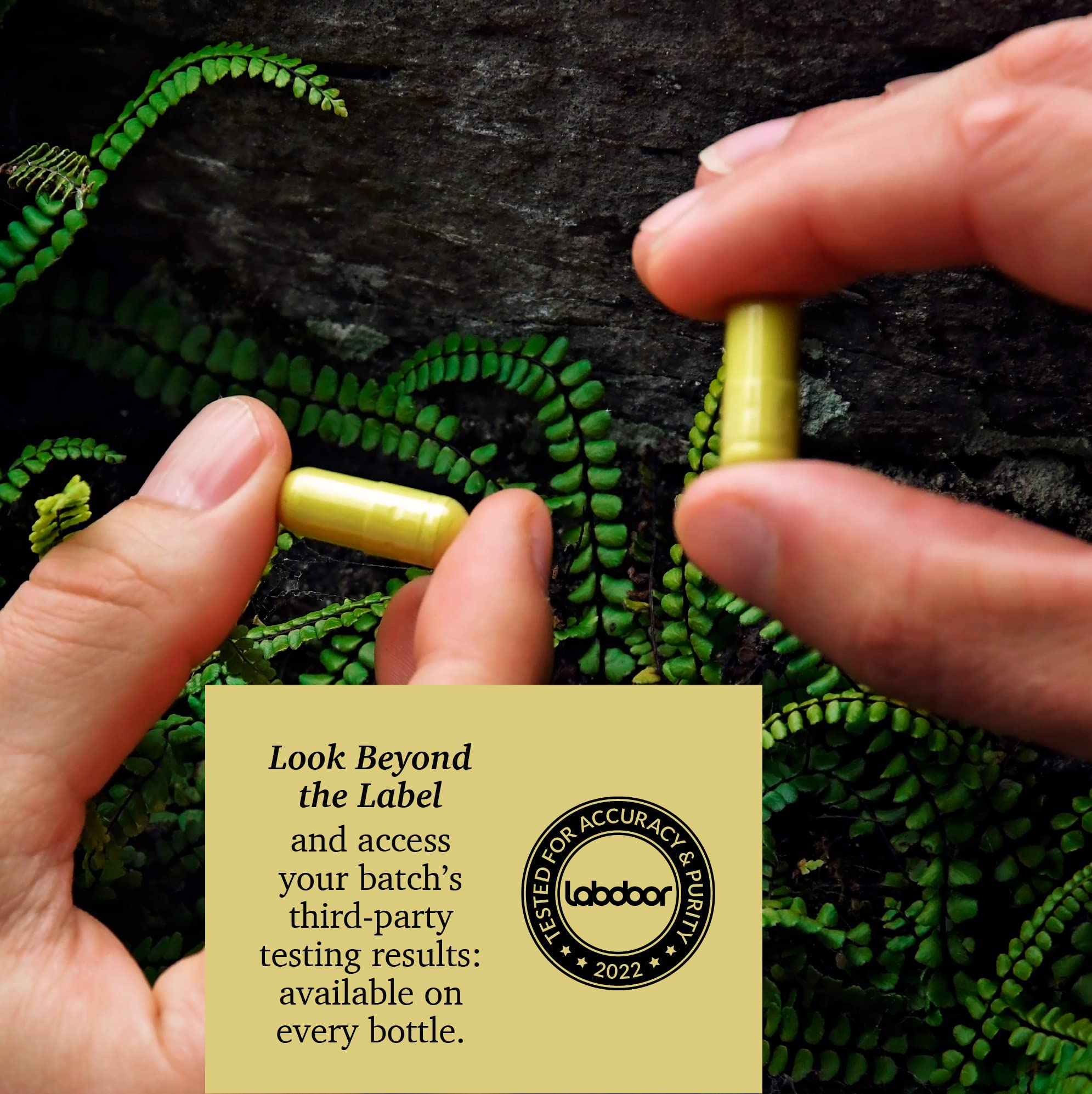 Packaging emphasizing vegan-friendly, non-GMO, gluten-free attributes