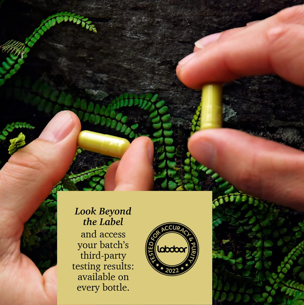 Packaging emphasizing vegan-friendly, non-GMO, gluten-free attributes