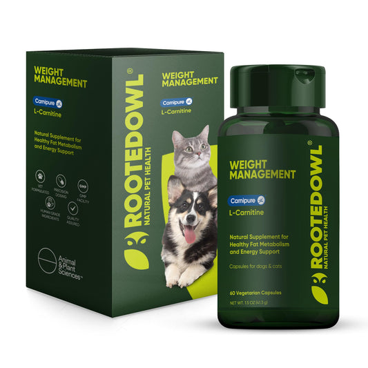 Rooted Owl Metabolism Support bottle for dogs and cats