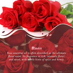 Diffuse diffuser emitting rose fragrance in a living room