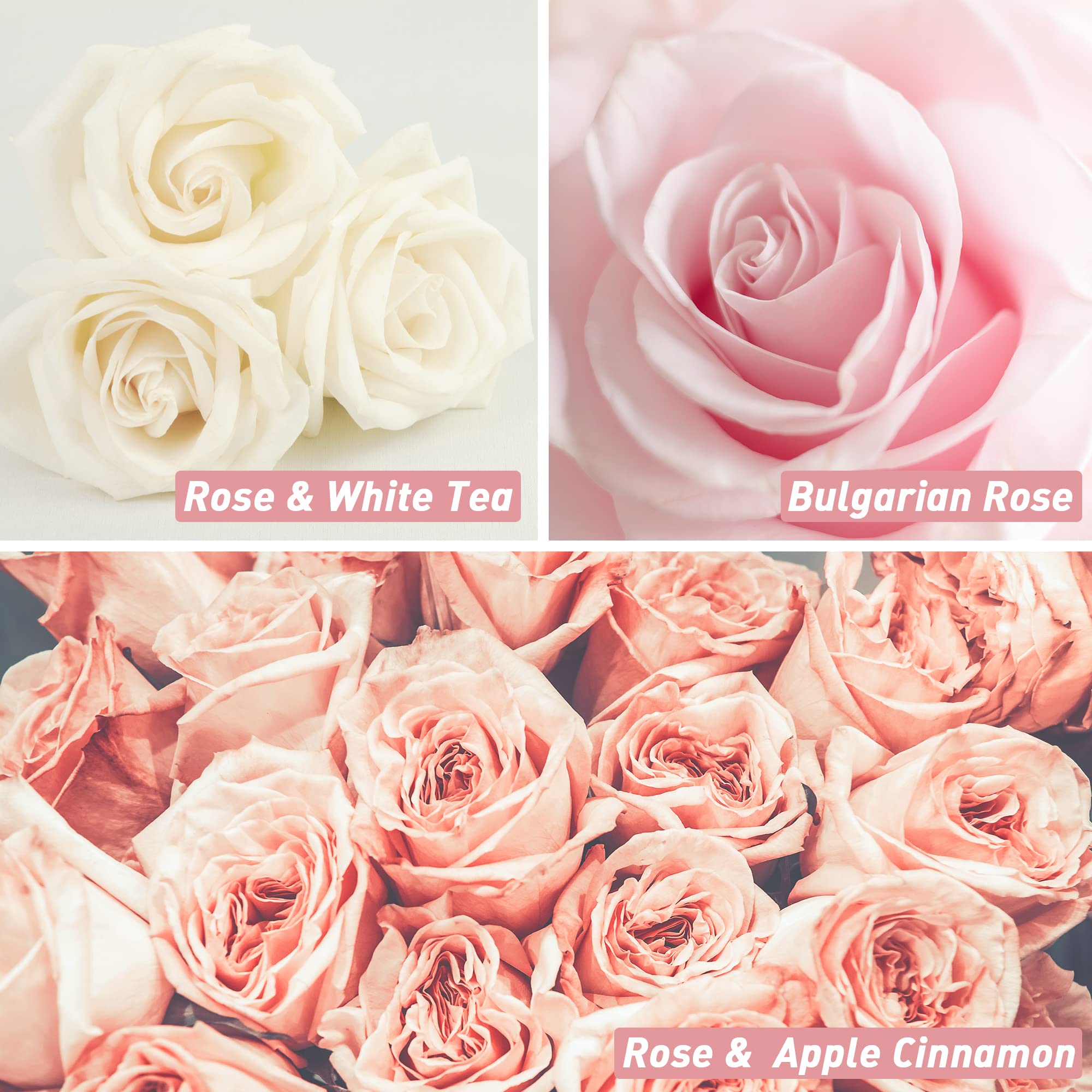 Rock Rose fragrance oil bottle in Rose Fragrance Oil Set by ESSLUX
