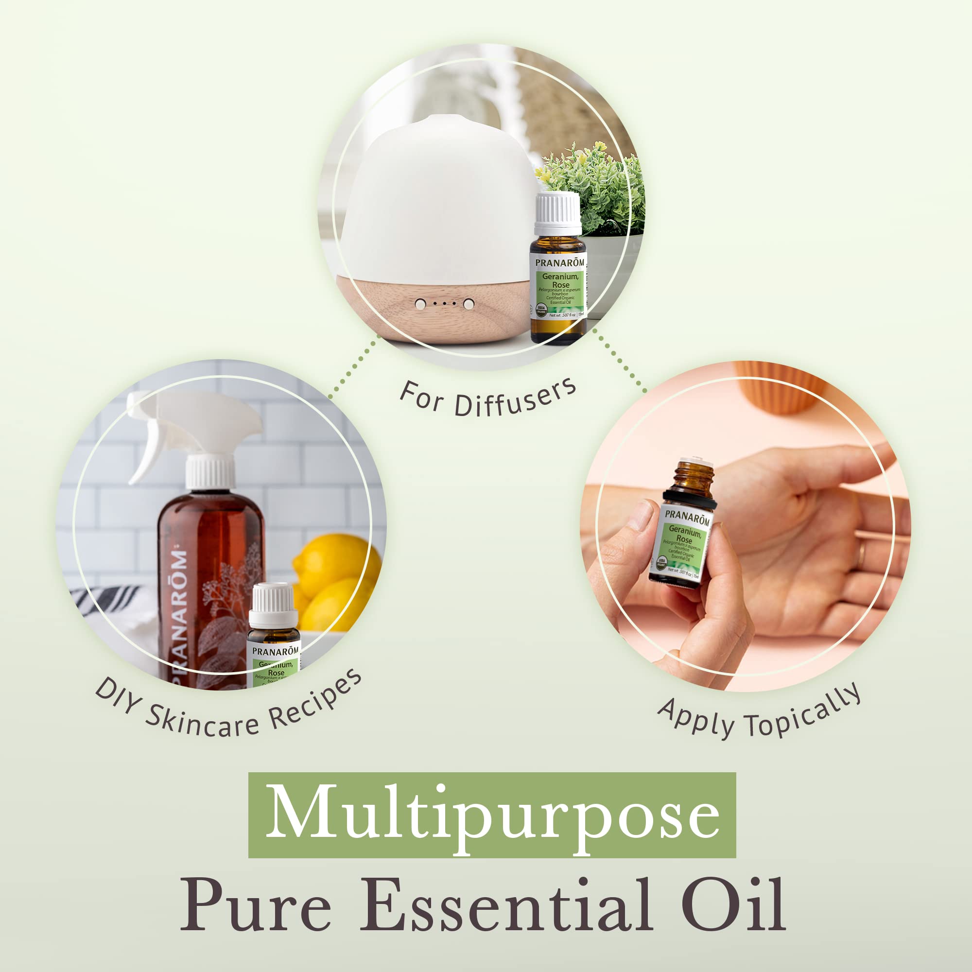 Diffuser with Rose Geranium essential oil being used