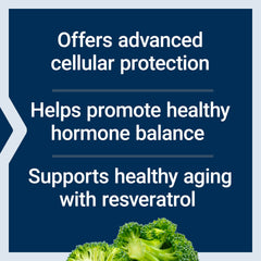 Rosemary bioactive compounds supporting cellular health