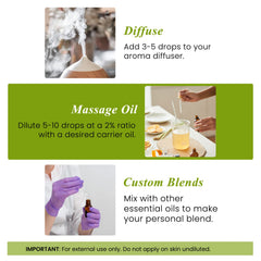Rosemary essential oil being used for diffuser and aromatherapy