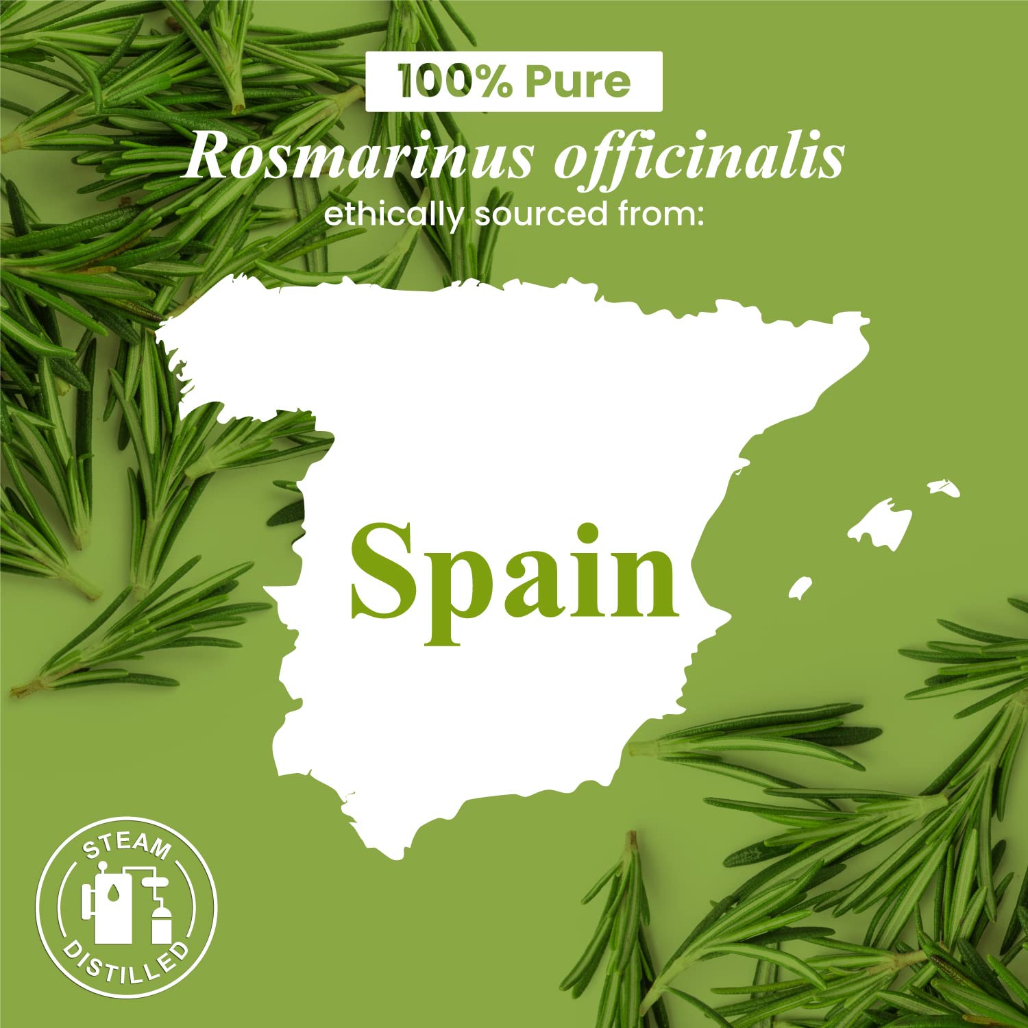 Label of Handcraft Blends premium rosemary oil in amber bottle