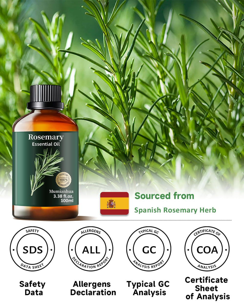 Close-up of pale yellow rosemary essential oil in bottle