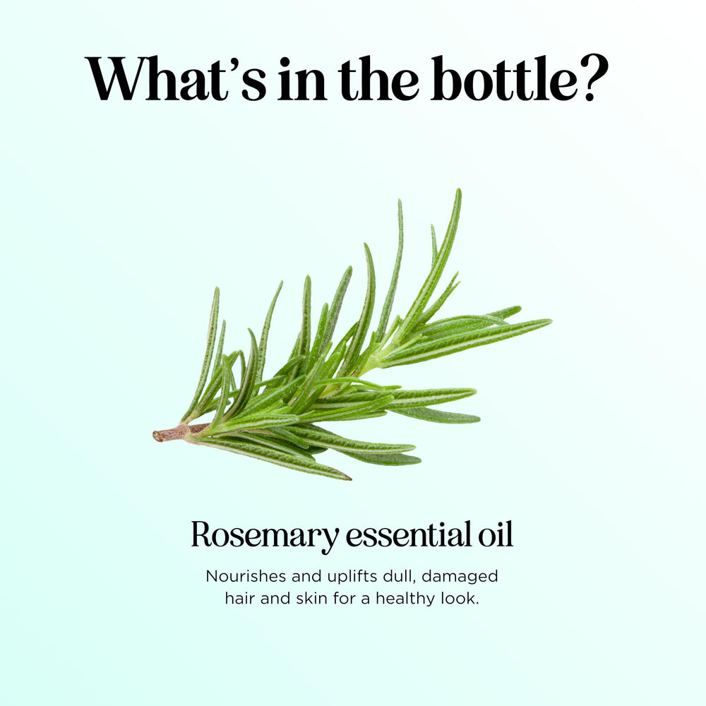 Rosemary essential oil used for hair care and scalp care