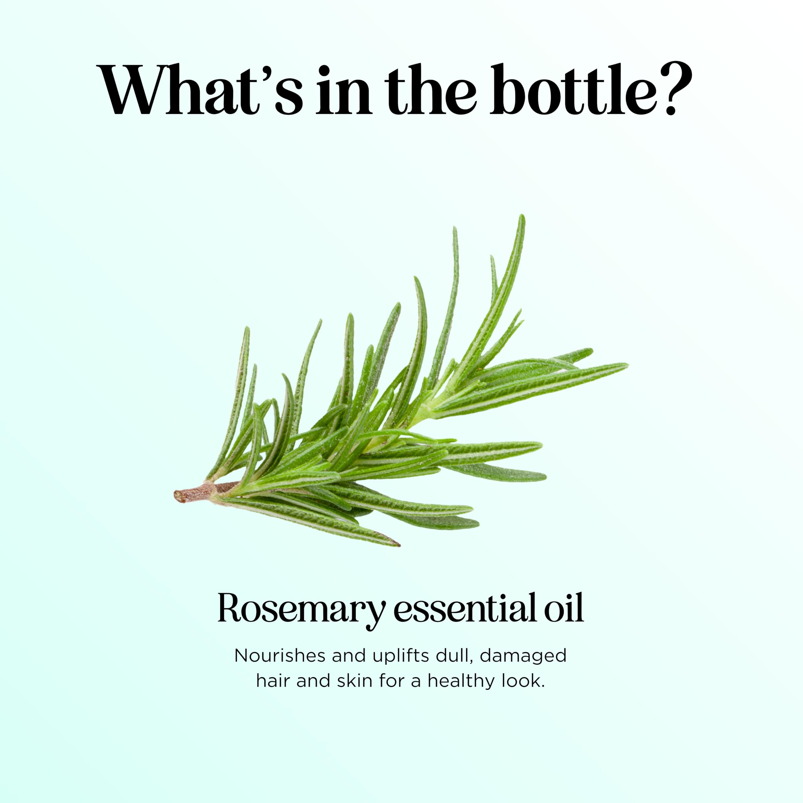 Rosemary essential oil highlighting antioxidants and beauty benefits