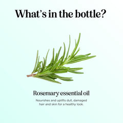 Rosemary essential oil highlighting antioxidants and beauty benefits