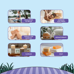 Sealed rosemary essential oil bottle for freshness