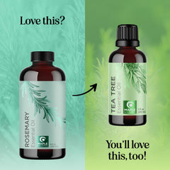 Rosemary oil for dry scalp treatment