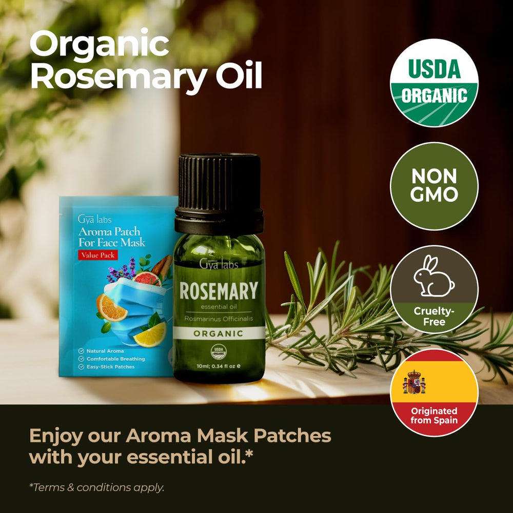 Rosemary oil for hair care benefits