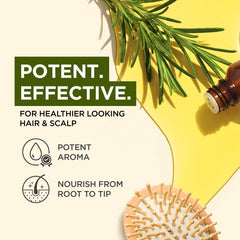 Applying rosemary oil to scalp for hair care