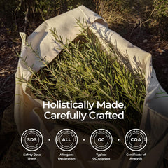 Rosemary oil for scalp and nails