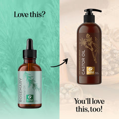 Rosemary oil bottle highlighted for skin care use