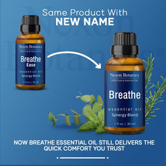 Ingredients: Rosemary, Peppermint, Niaouli and Eucalyptus