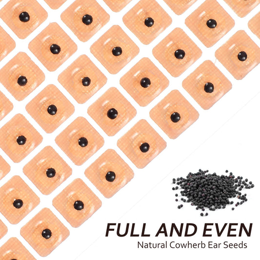 ROSENICE ear seeds kit packaging and contents