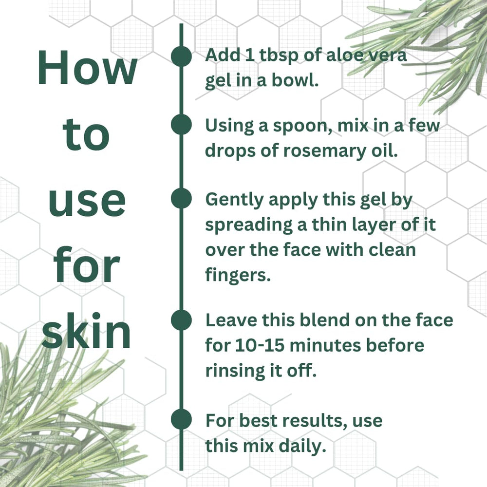 Rosmarinus officinalis plant source for rosemary essential oil.