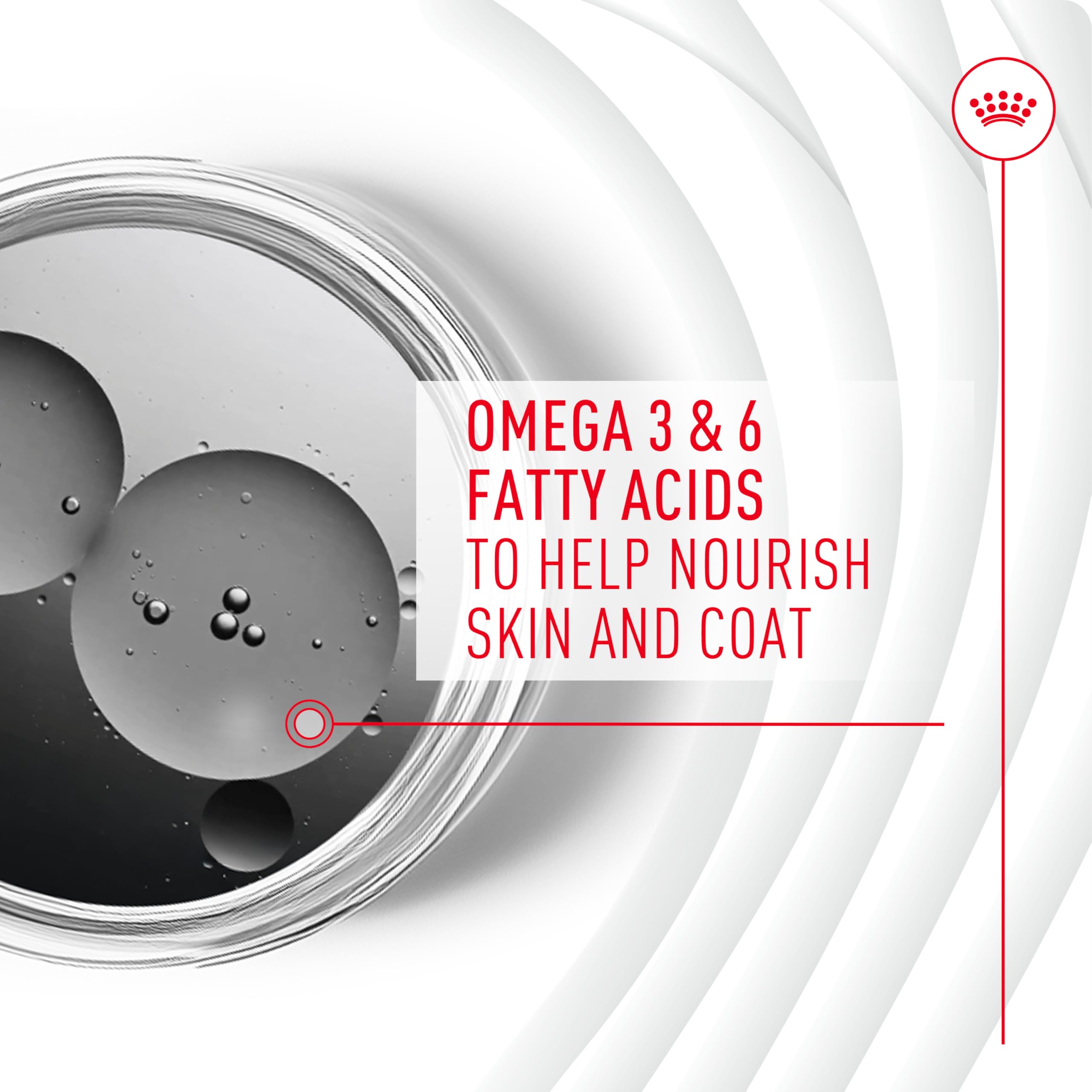 Graphic highlighting the glossy coat benefit