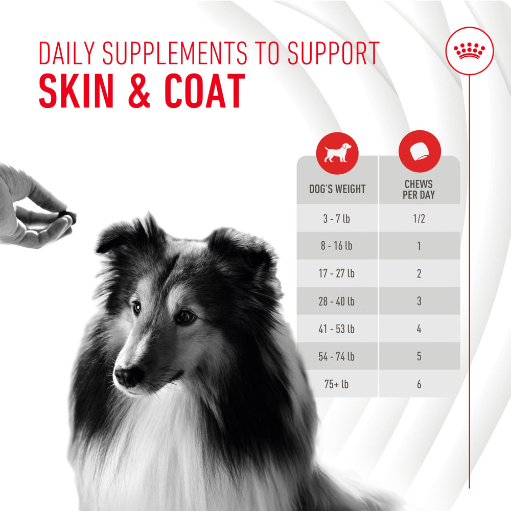 Vitamin B blend supporting the skin barrier