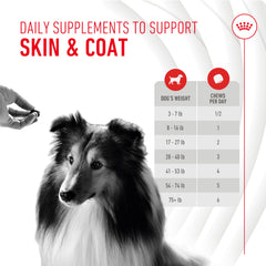 Vitamin B blend supporting the skin barrier