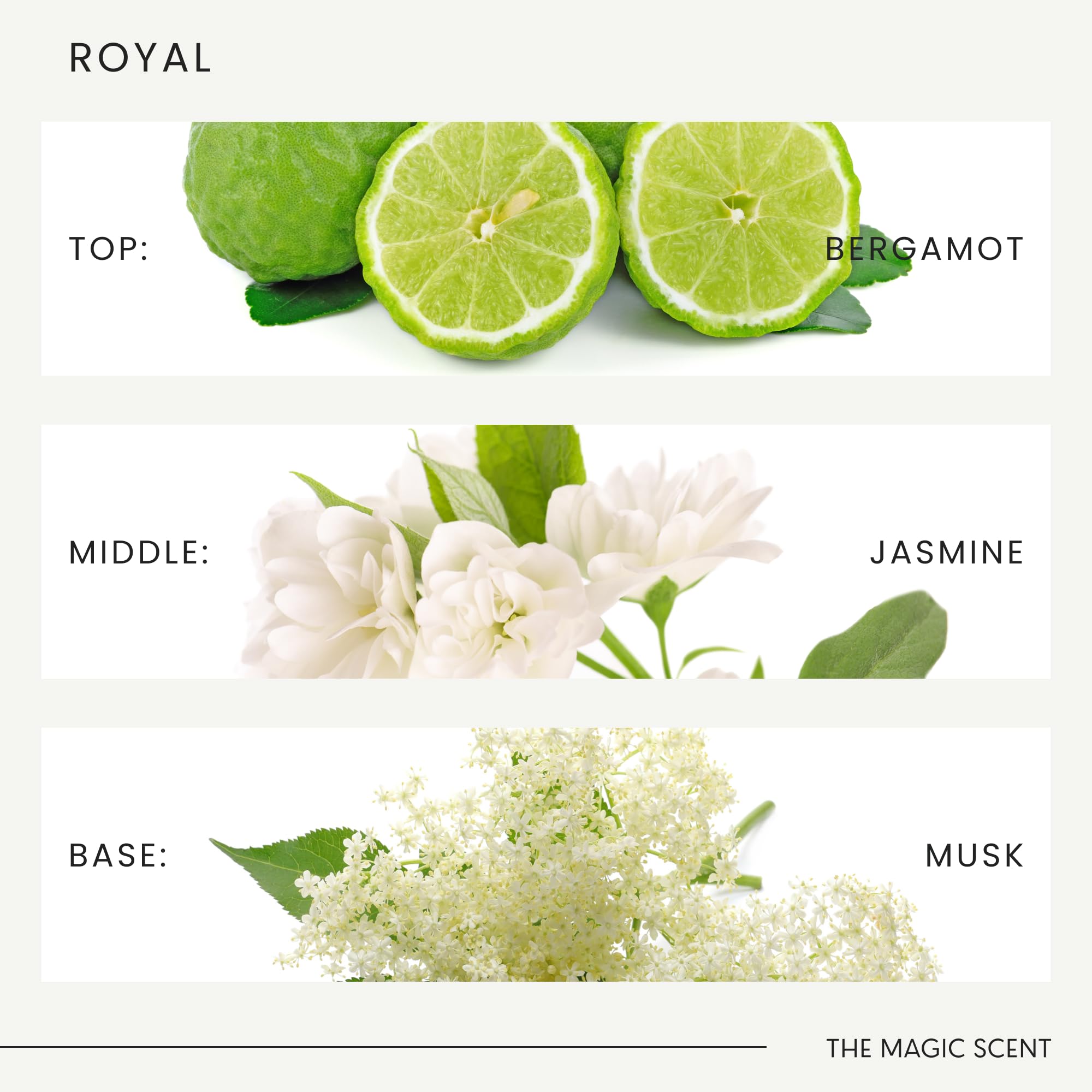 Premium diffuser oil product display with The Magic Scent branding