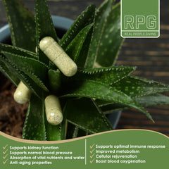 Ingredients panel for RPG Acemannan Aloe Vera Capsules