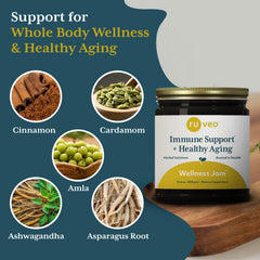 Digestive health support and gut balance concept