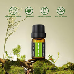 Lavender essential oil bottle (5ml) from SACATR set