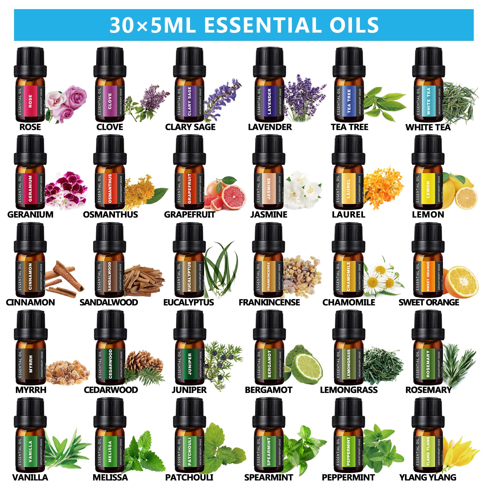 Set of 30 natural essential oils included with SACATR diffuser