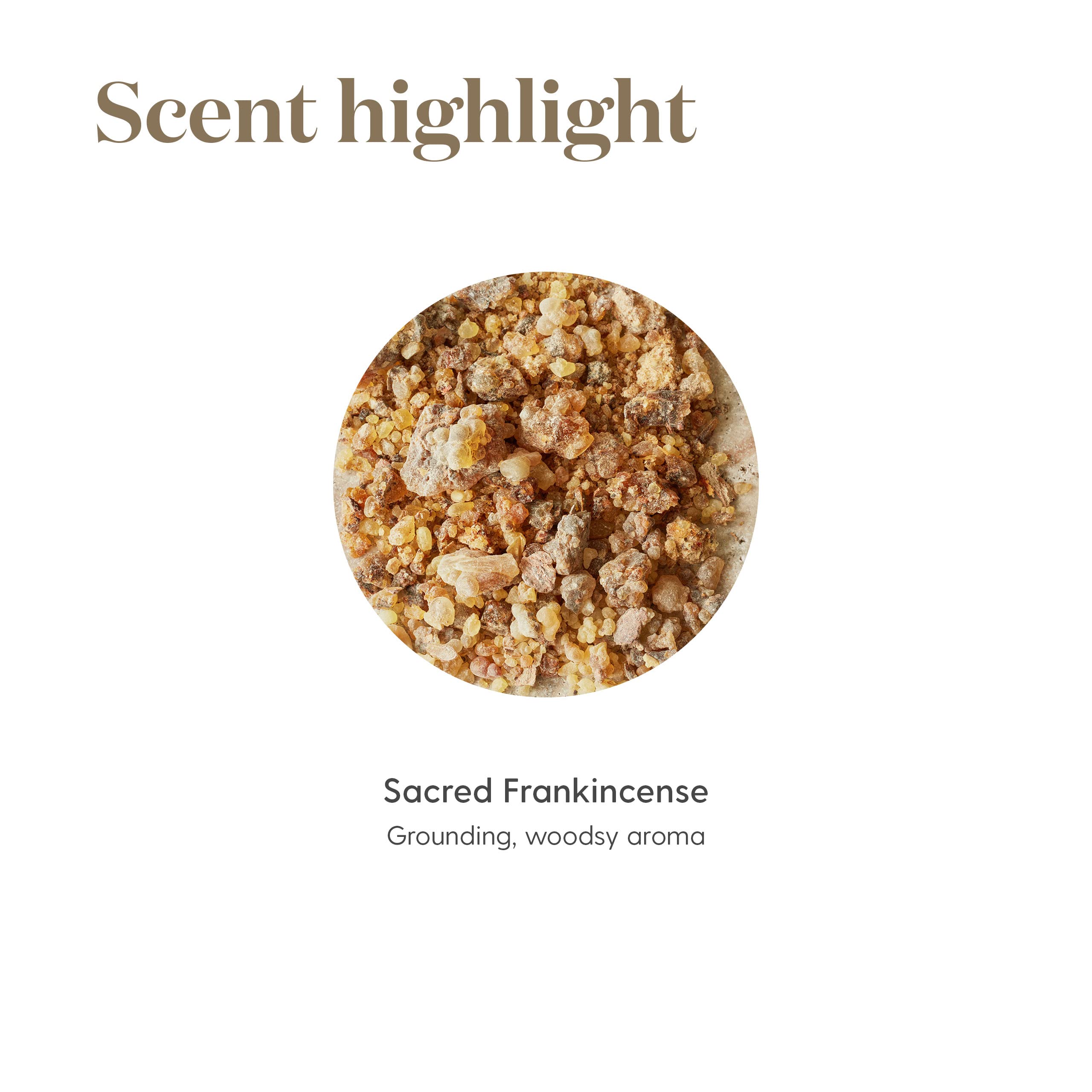 Wooden surface with sacred frankincense essential oil bottle