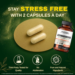 Relaxed mood and calm visuals signaling stress support