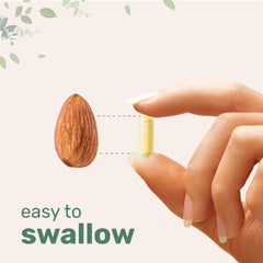 Capsules containing saffron, turmeric, and other nootropics for daily wellness